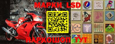 амф Новозыбков