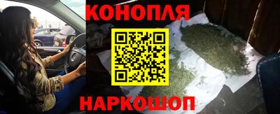 амф Новозыбков
