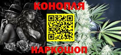 гашик Новокубанск